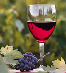 winery